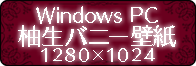 for_Windows_PC